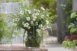 Spring bouquet from the meadow: Leucanthemum vulgare