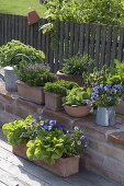 Herb arrangement on clinker wall