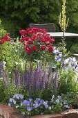 Roses and ornamental sage in beds with clinker edging
