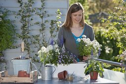 Planting a wooden box in blue and white