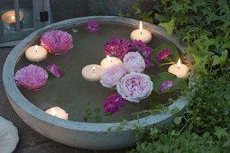 Schwimmende Blüten von Rosa (Rosen) und Schwimmkerzen
