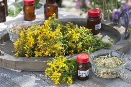 Frisch geerntetes Johanniskraut (Hypericum perforatum) auf Holztablett