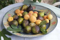 Getöpferte Schale mit Feigen (Ficus carica) und Aprikosen