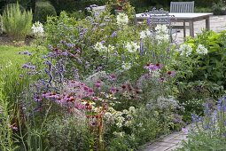 Perennial border in colour gradient white-pink-purple