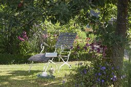 Deckchair under apple tree by the bed with Echinacea purpurea