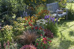 Buntes Staudenbeet: Echinacea purpurea 'Sunset', 'Avalanche' (Sonnenhut)