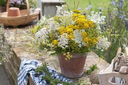 Meadow bunch picked on the way edge