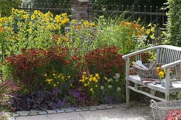 Yellow-red terrace bed with perennials