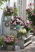 Selbstgebaute Holz-Treppe mit Lilium 'Mount Duckling' (Lilien), Impatiens