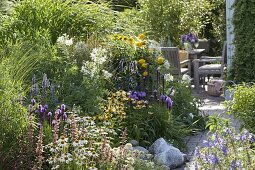 Agastache 'Summer Glow' 'Blue Fortune' (Duftnessel), Echinacea purpurea