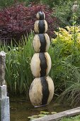 Water feature in pond next to iris (swamp iris)