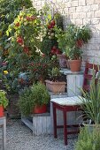 Pflanzentreppe mit Gemüse auf Kies-Terrasse