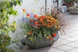 Grey bowl planted with autumn flowers
