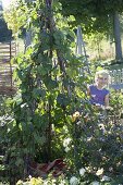 Kinder spielen Indianer im Bohnenzelt