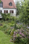 Colourful summer bed with pink (roses) perennials and summer flowers