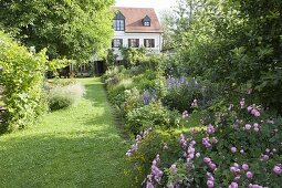 Bunter Garten mit Sommerblumen, Rosen und Stauden