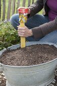 Planting rusted-through zinc trays