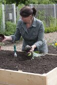 Building a raised bed from boards