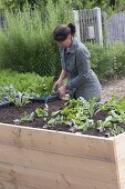 Building a raised bed from boards