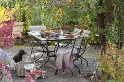 Terrasse mit Ernte-Tisch