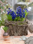 Plastic box with bark glued on as planter box