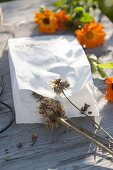 Collect seeds of Calendula (marigold) in a sandwich paper bag.