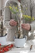 Birch stems tied together as support for flower arrangement