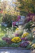 Autumn bed with perennials and grasses, Pennisetum 'Sky Rocket'