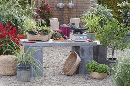 Outdoor-Küche asiatisch kochen mit Wok