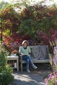 Bench by the border with perennials and woody plants