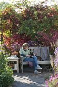 Bench by the bed with perennials and woody plants