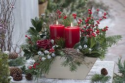 Christmas candle arrangement with Rosa (waxed rose), branches of Ilex