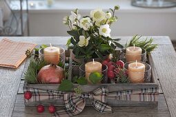 Wooden box as Advent wreath with 4 candles, pot with Helleborus niger