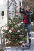 Young woman decorating Abies nordmanniana (Nordmann fir) with apples