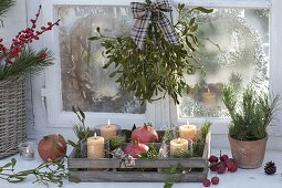 Holzkiste mit Kerzen in Gläsern, Granatäpfeln (Punica granatum)