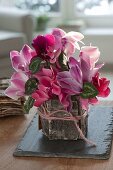 Strauss aus Cyclamen (Alpenveilchen) in Vase, mit Rinde von Betula