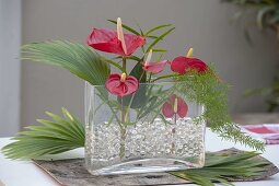 Modern arrangement with anthurium (flamingo flowers), palm leaf