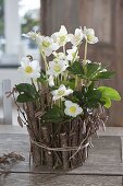 Yoghurt bucket with hazel twigs dressed as a planter