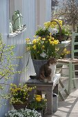 Weiß-gelbe Frühling-Terrasse