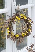 Kranz aus Zweigen von Corylus avellana (Haselnuss) und Jasminum nudiflorum