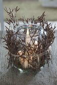 Glas umwickelt mit Zweigen von Betula (Birke) als Windlicht