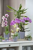 Sideboard as room divider with orchids