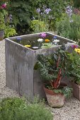 Building Square Garden beds on concrete pavers