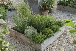 Building Square Garden beds on concrete pavers