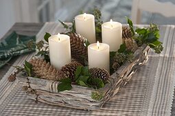 Advent wreath with cones of Picea (spruce), Larix (larch) and twigs