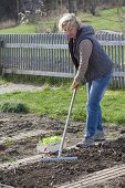 Woman smoothing soil with rake to plant lettuce (lactuca)