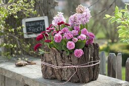 Bark glued on plastic box as a plant box