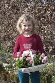 Girl bringing a basket with bellis (daisy)