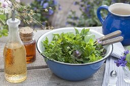 Wild herb salad with oil and balsamic vinegar