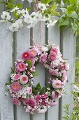 Rosa Kranz aus Bellis (Tausendschön), Viburnum (Schneeball) und Spiraea